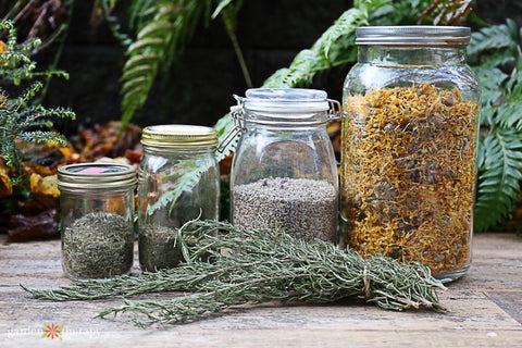 Herbal Oil Infusion Guide for Body Care Products | Learn Herbal Skincare Formulation