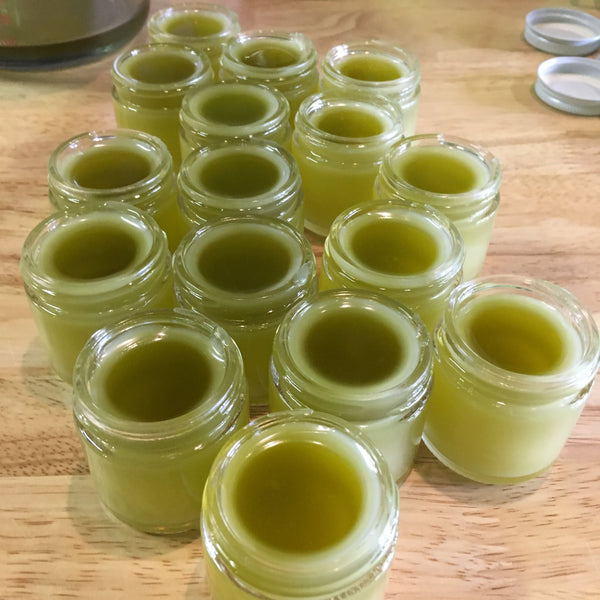 DIY Herbal Salves & Healing Lip Balms: A Hands-On Workshop 03/13/25