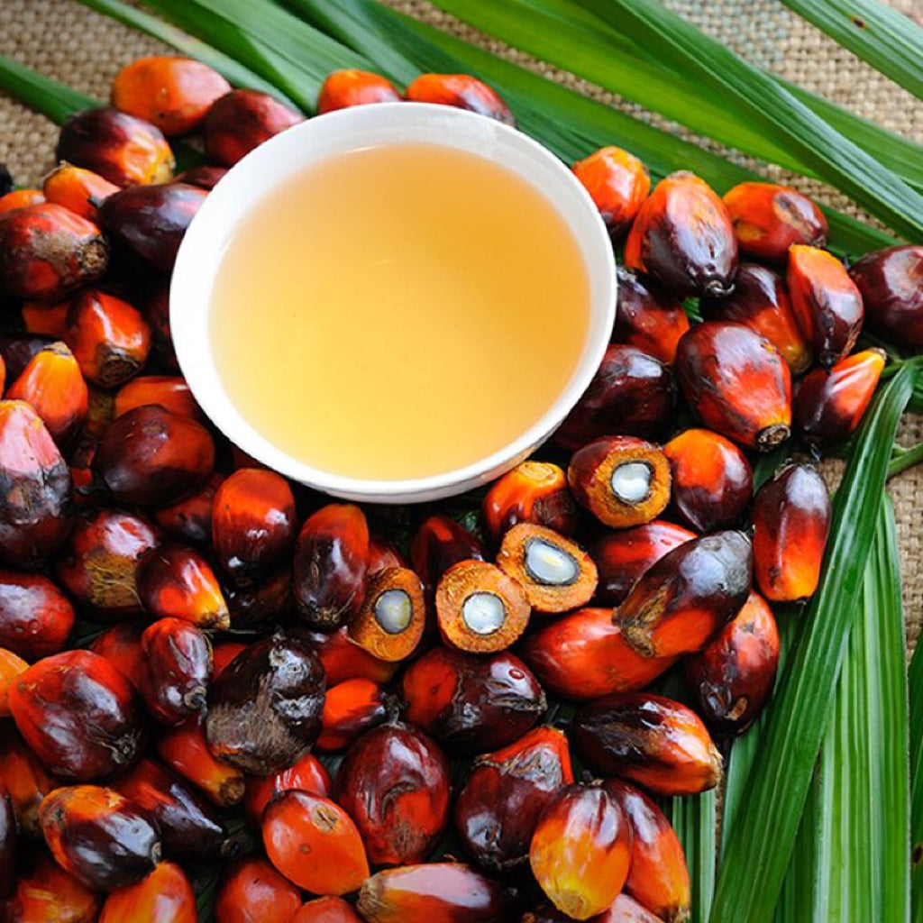 Organic Palm Oil
